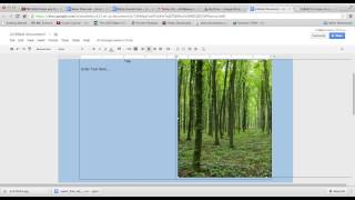 Using Google Docs to Make a Poster Presentation [upl. by Penni579]