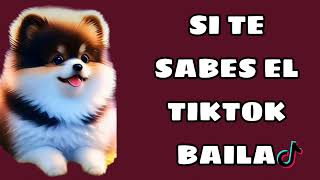 Si Te Sabes El TikTok Baila  2023 [upl. by Oicafinob791]