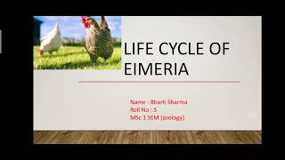 lifecycle of Eimeria [upl. by Petua]