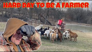 Homesteading On The Coldest Day Extreme Weather Farming Raising Goats In Extreme Winter Goats [upl. by Sixela918]