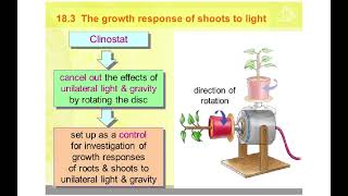 5090 CHAPTER 15 SYLLABUS 2023 COORDINATION IN PLANTS [upl. by Annaehs]