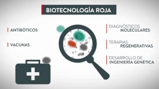 11 Aplicaciones de la Biotecnología [upl. by Eneli468]