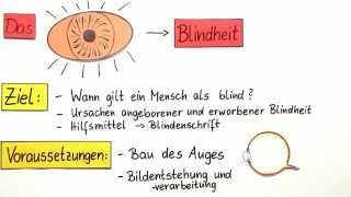 Das Auge  Blindheit  Biologie  Humanbiologie [upl. by Lundeen788]