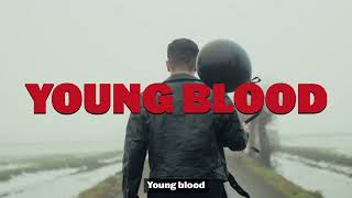 Jack Vallier  Young Blood lyric video [upl. by Fanchan]