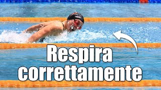 La respirazione corretta a delfino  NUOTO Pillole di tecnica [upl. by Ping]