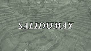 Salidumay  Music of Cordillera  Minus one  Instrumental [upl. by Ardnama]