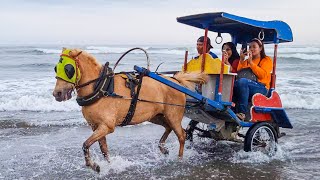 KUDA  KUDA DELMAN PANTAI  KUDA MALIOBORO  LAGU COCOMELON DAN NAIK DEMAN ISTIMEWA TERBARU [upl. by Ern]