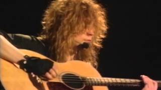 DEF LEPPARD  LIVE IN SHEFFIELD  1993  FULL CONCERT [upl. by Yenolem]