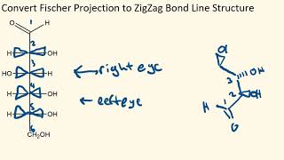 Fischer Projection to Bond line Structure [upl. by Anrak]