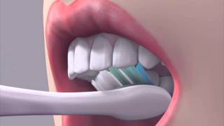 How to brush your teeth [upl. by Eivad]