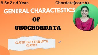 General Characteristics of urochordate bsc 2nd yearclassification of Urochordata3rdsemexam [upl. by Llennyl258]