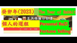 【霊視・四柱推命】2024年の運勢🔮年齢別干支占い幸運を引き寄せる干支はこの干支🔮～子・丑・寅・卯・辰・巳～ [upl. by Angelico]