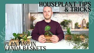 Planting Epiphytic Houseplants In Vanda Baskets  Houseplant Tips amp Tricks Ep 9 [upl. by Ayam919]