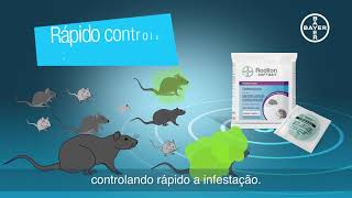 Como eliminar ratos Rodilon Soft Bait a Solução Bayer  vídeo 1 [upl. by Stryker944]