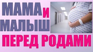 ПОСЛЕДНИ ДНИ ПЕРЕД РОДАМИ  Что чувствует и как себя ведет женщина и ребенок перед началом родов [upl. by Nelav611]