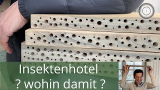 Insektenhotel Wildbienennisthilfen richtig montieren wie wo wann [upl. by Eniortna94]