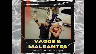 Vagos amp Maleantes  Doctrina callejera Audio x La Corte  Straight From The Cloacas [upl. by Aticilef]