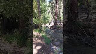 Ruidoso New Mexico Stream daveshikesnewmexico shorts stream [upl. by Squier]