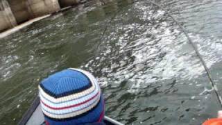 Salmon Fishing the Oswego River with Catch the Drift [upl. by Kosak]