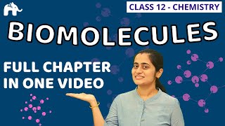 Biomolecules Class 12 Chemistry  NCERT Chapter 14  One Shot CBSE NEET JEE [upl. by Arten]