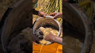 Hadzabe best chief preparing Lunch for Us today 😋😍food hadzabetribe [upl. by Suvart]