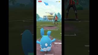 Epic Pokémon GO Great League Battle Shadow Gligar Annihilape and Azumarill Dominate 💥 pokemon [upl. by Errol]