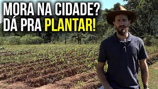 6 plantas que podem SALVAR você da FOME [upl. by Odraner697]