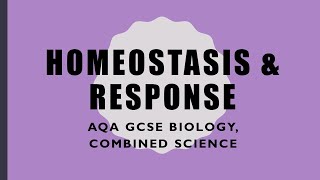 Homeostasis Revision  GCSE BiologyCombined Science [upl. by Nyahs498]