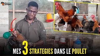 jutilise ces 3 STRATEGIES pour OBTENIR le POULET DE 10 SEMAINES élevage du poulet local [upl. by Lorac]