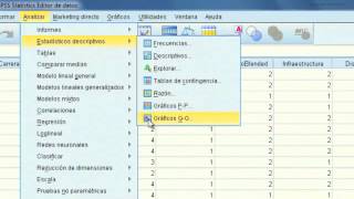 Frecuencias en SPSS Versión 20 [upl. by Enieledam]