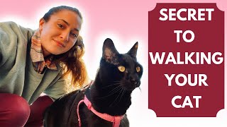 HOW TO WALK YOUR CAT Our tips on how to train your cat to walk on a leash and harness [upl. by Garzon]