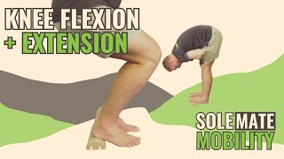 Knee Flexion  Extension  SoleMate Mobility [upl. by Trebled]