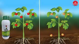 Agriculture video  2D Animation ad  Farmer animated video  Paushak Super [upl. by Gollin736]