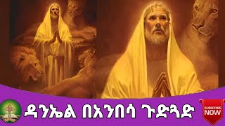 ዳንኤል በአንበሳ ጉድጓድ [upl. by Itraa357]