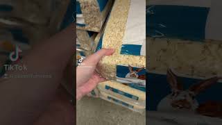 Do NOT Buy Pine Bedding For Hamsters  Hamster Care hamster hamstercare shorts pets [upl. by Entsirhc]