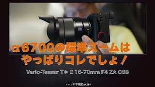 【α6000系標準ズームの決定版！】10年前のとは思えない。VarioTessar T E 1670mm F4 ZA OSS。 [upl. by Gnik]