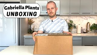 Gabriella Plants Houseplant Unboxing [upl. by Atirehgram]