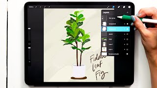 Paint a Gouache Fiddle Leaf Fig Tree in Procreate [upl. by Anitsyrhk430]