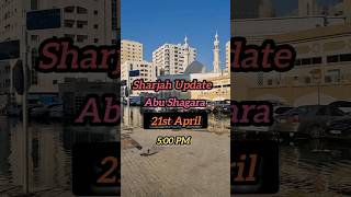 Sharjah Flood Update 21st April 2024 Abu Shagara sharjah flood abushagarah [upl. by Krahling]