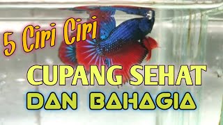 5 CIRI CIRI CUPANG SEHAT DAN BAHAGIA [upl. by Nomzzaj]