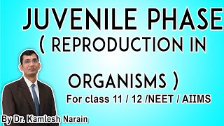 Juvenile Phase  Reproduction in organisms  Chapter 1 Class 12 By Dr Kamlesh Narain [upl. by Sieber]