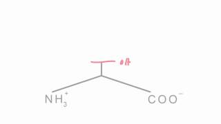 Memorize the 20 amino acids in 20 minutes Part 1 [upl. by Ahsinaj930]