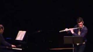 Aram Khachaturian Flute Concerto Part I [upl. by Weissman800]