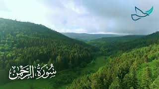 SURAH REHMAN  Omar Hisham Al Arabi  Healing and Relaxing [upl. by Anyale]