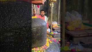 shree Markandeshwar Mahadev abhishek mahadevshortsvideo shivshankar angareshwar angareshwar [upl. by Natam337]