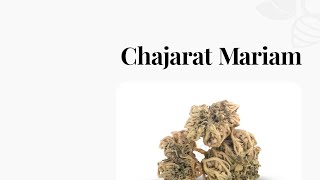 Chajarat Mariam  utilisation grossesse et vertus [upl. by Ahterahs654]