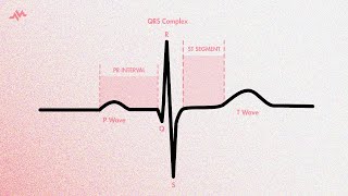 The Cardiac Cycle on an EKG PQRST Waves [upl. by Shena]