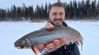 Barbe lake brook trout fishing amp winter camping w staggontheline [upl. by Aihppa416]