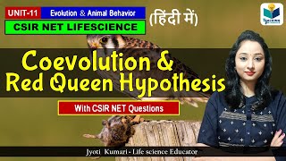 Coevolution amp Red Queen Hypothesisin Hindi  Evolution  CSIR NET 2024 [upl. by Yluj]