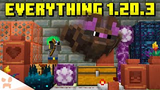 EVERYTHING In Minecraft 1203 [upl. by Coke186]